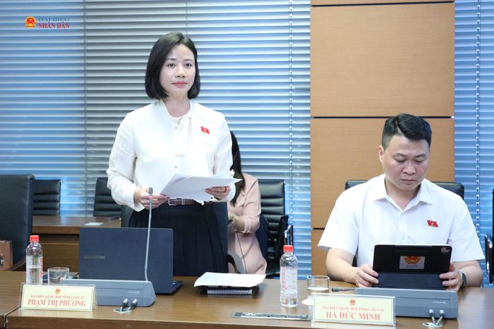 ĐBQH Phạm Thị Phương (Lào Cai) phát biểu