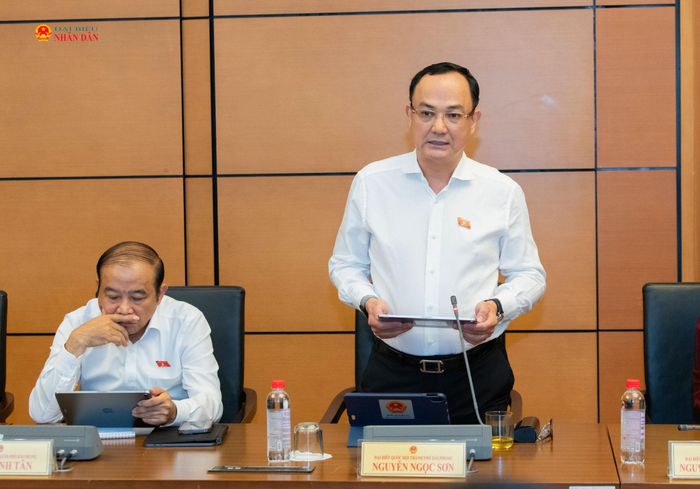 ĐBQH Nguyễn Ngọc Sơn (TP. Hải Phòng) phát biểu tại Tổ 3 Ảnh: Lâm Hiển