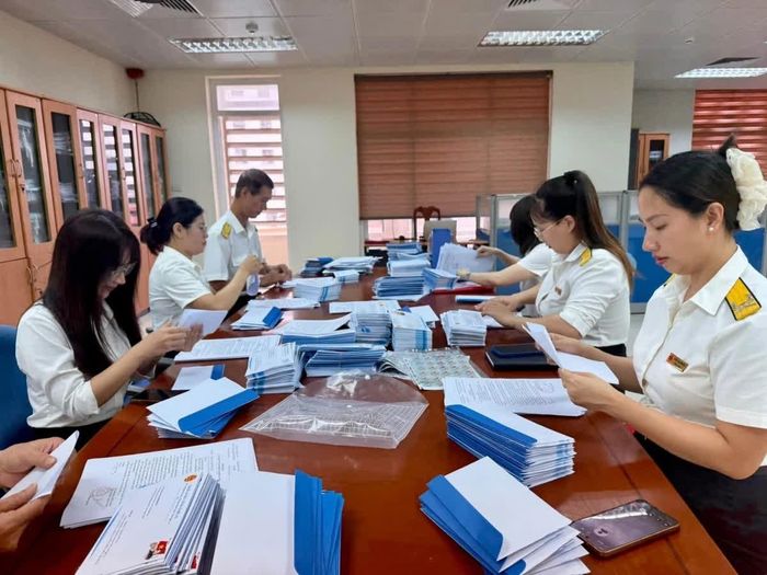 Ngành Thuế tích cực triển khai rà soát và làm sạch mã số thuế.