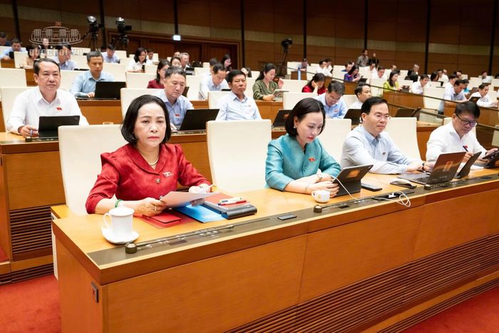 Các đại biểu dự phiên họp.