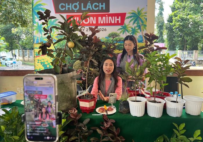 Thông qua việc kết hợp quảng bá, livestream và bán hàng trực tuyến, các chủ thể OCOP có thêm cơ hội mở rộng tệp khách hàng, từng bước nâng cao khả năng cạnh tranh trên thị trường.