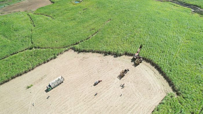 Ứng dụng công nghệ cao trong sản xuất nông nghiệp.