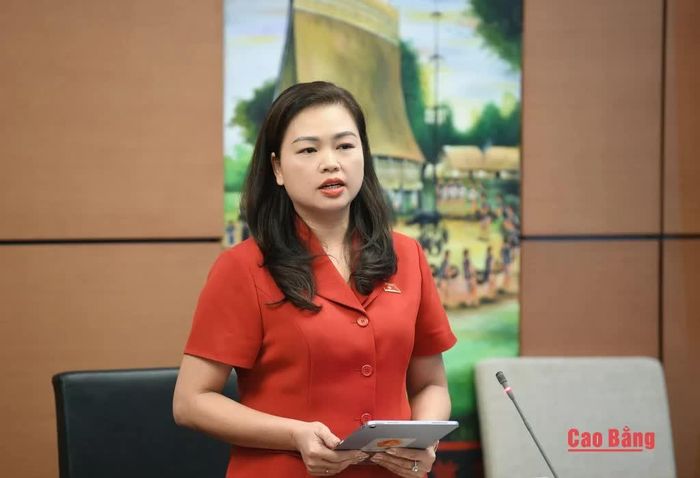 Đại biểu Đoàn Thị Lê An, Phó Chủ tịch Ủy ban Mặt trận Tổ quốc tỉnh, Chủ tịch Hội Liên hiệp Phụ nữ tỉnh phát biểu.
