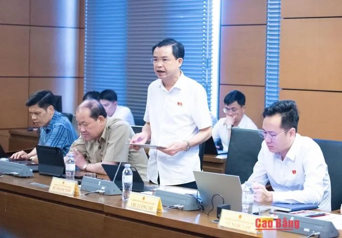 Phó Bí thư Thường trực Tỉnh ủy, Trưởng Đoàn đại biểu Quốc hội tỉnh Cao Bằng Bế Thanh Tịnh phát biểu tại phiên thảo luận.