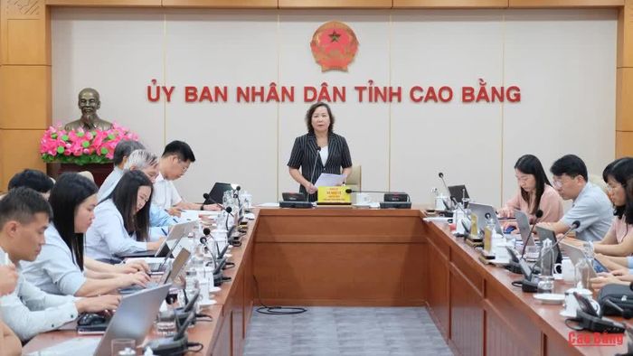 Phó Chủ tịch UBND tỉnh Hà Nhật Lệ phát biểu kết luận cuộc họp.
