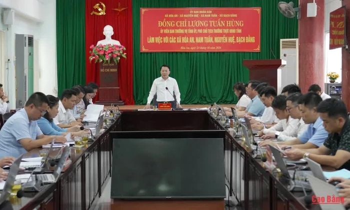 Phó Chủ tịch Thường trực UBND tỉnh Lương Tuấn Hùng phát biểu kết luận buổi làm việc.