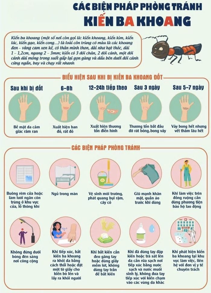 Người dân cần chủ động thực hiện các biện pháp phòng tránh kiến ba khoang, bảo vệ sức khoẻ bản thân và gia đình. (Ảnh: Trạm y tế xã Đầm Dơi cung cấp)