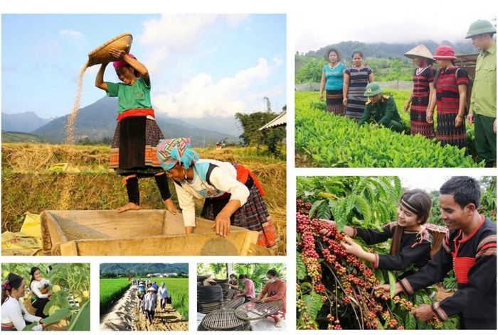 Việc nhận diện chính xác từng địa bàn khó khăn và đúng đối tượng cần trợ giúp, các nguồn lực hỗ trợ của Nhà nước sẽ được sử dụng hiệu quả và đúng mục tiêu hơn. Đây sẽ là đòn bẩy quan trọng giúp đồng bào các dân tộc thiểu số và miền núi từng bước vươn lên thoát nghèo bền vững, củng cố khối đại đoàn kết toàn dân tộc và tạo đà cho sự phát triển kinh tế - xã hội đồng đều trên cả nước trong những năm tới