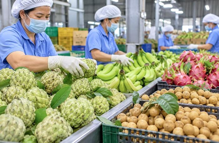 Nhiều thị trường đang siết chặt và cập nhật các tiêu chuẩn về chất lượng, an toàn thực phẩm đối với nông sản nhập khẩu. Ảnh minh họa.