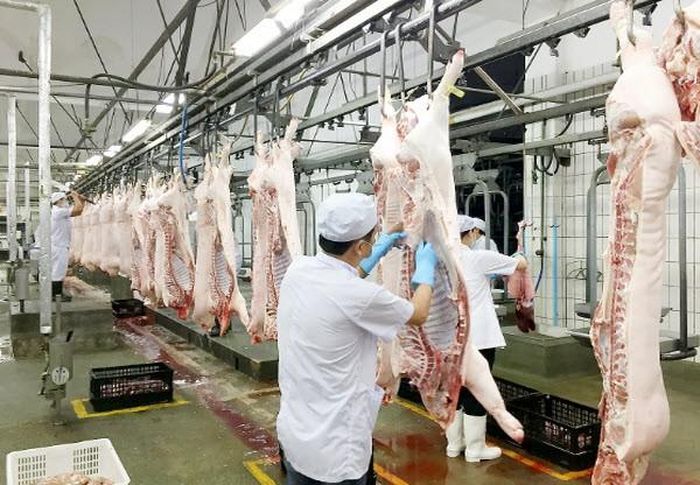 Philippines áp dụng biện pháp khẩn cấp cấm tạm thời nhập khẩu động vật, sản phẩm và phụ phẩm động vật có nguy cơ cao mắc bệnh lở mồm long móng từ một số quốc gia, trong đó có Việt Nam. Ảnh minh họa.