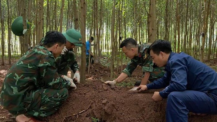 Cán bộ, chiến sĩ Đội Tìm kiếm, quy tập hài cốt liệt sỹ số 1 (Phòng Chính trị, Bộ Chỉ huy Quân sự tỉnh Quảng Trị) đang tìm kiếm, quy tập hài cốt liệt sỹ trong rừng tràm ở bản Bãi Dinh (xã Dân Hoá). (Ảnh: Hoàng Cuối)