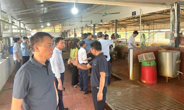Các đại biểu tham quan cơ sở giết mổ tập trung tạm thời trên địa bàn xã Phúc Thọ - TP. Hà Nội. Ảnh: CCCN