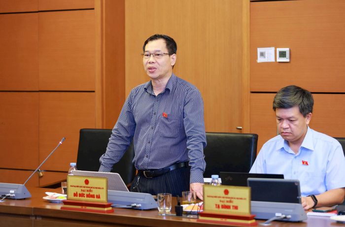 Đại biểu Đỗ Đức Hồng Hà tham gia thảo luận. Ảnh: Văn Tuyến