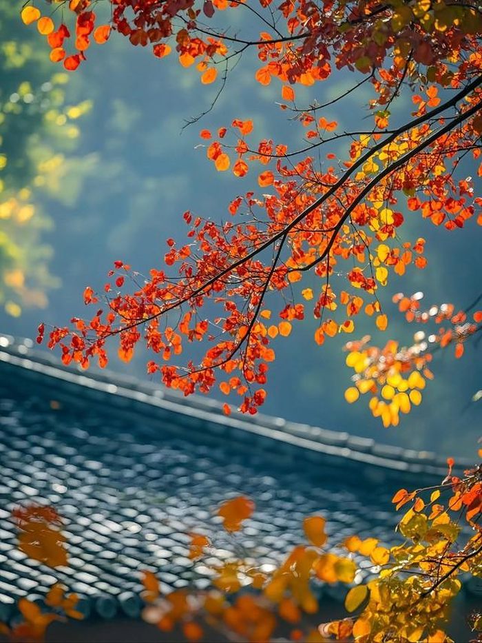 Khi trưởng thành, nếu được định hướng đúng và kiên trì theo đuổi mục tiêu, người sinh vào ngày mùng 2 và mùng 3 Âm lịch có cơ hội phát huy thế mạnh của mình để tạo dựng sự nghiệp riêng. Ảnh minh họa