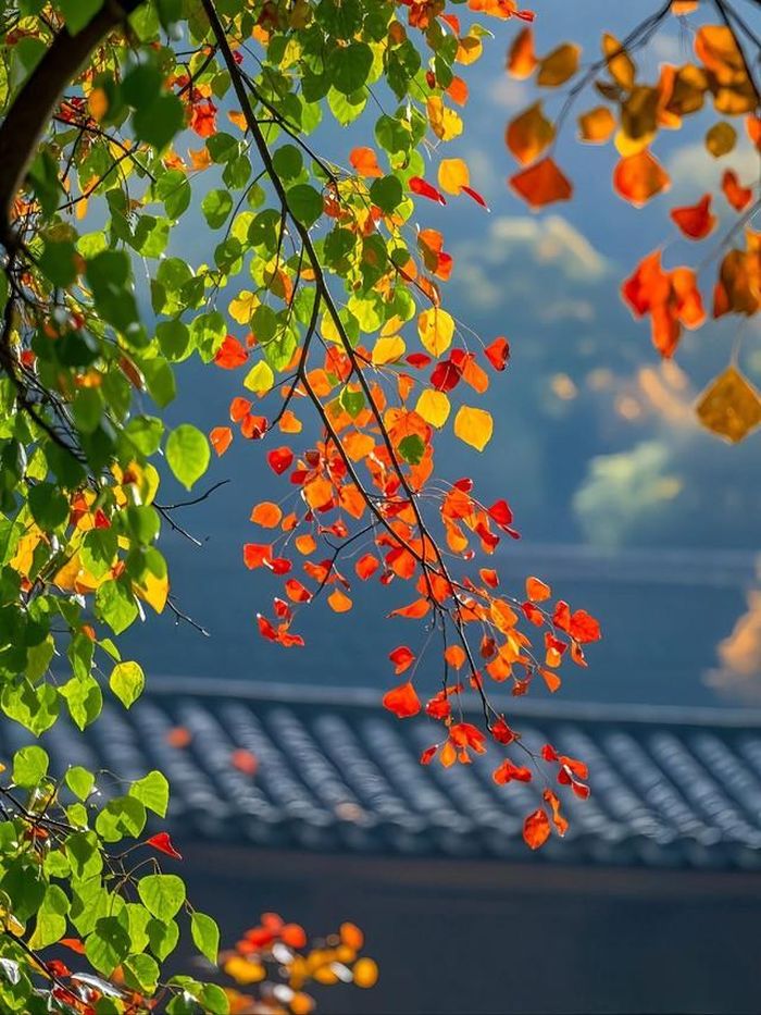 Dù là nam hay nữ, người sinh ngày 18 Âm lịch đều có thể xây dựng tương lai tốt đẹp nếu biết phát huy năng lực, sống có trách nhiệm và giữ gìn những mối quan hệ gia đình bền chặt.. Ảnh minh họa