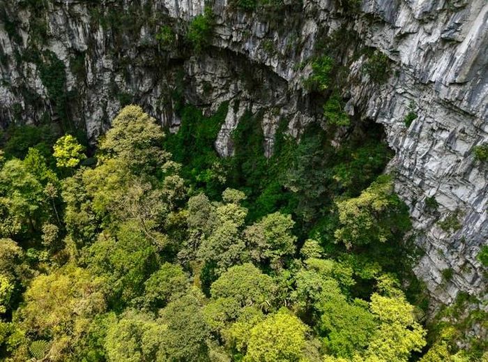 Ông Nguyễn Văn Úy, Phó Giám đốc, phụ trách công tác an toàn Công ty Thám hiểm Jungle Boss cho biết, trong chuyến tiền trạm khảo sát đầu tiên, đoàn gồm 10 thành viên. Do khu vực quanh hố sụt hầu như không có suối lớn chảy qua nên đến ngày thứ 3, khi vừa tiếp cận miệng hố đoàn buộc phải quay về vì hết lương thực và nước uống. Ảnh: Jungle Boss.