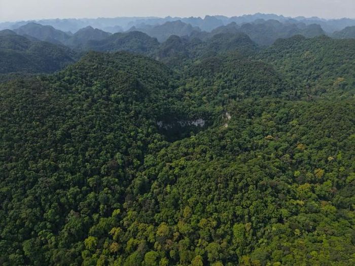 Ông Lê Lưu Dũng, Giám đốc Công ty Thám hiểm Jungle Boss cho biết, đơn vị vừa phối hợp cùng chuyên gia Hiệp hội Hang động Hoa Kỳ (NSS) và Ban Quản lý Vườn Quốc gia Phong Nha - Kẻ Bàng khảo sát, đo đạc một hố sụt khổng lồ chưa từng được khai phá tại khu vực Chà Nòi - Khe Gát thuộc Vườn Quốc gia Phong Nha - Kẻ Bàng. Ảnh: Jungle Boss.