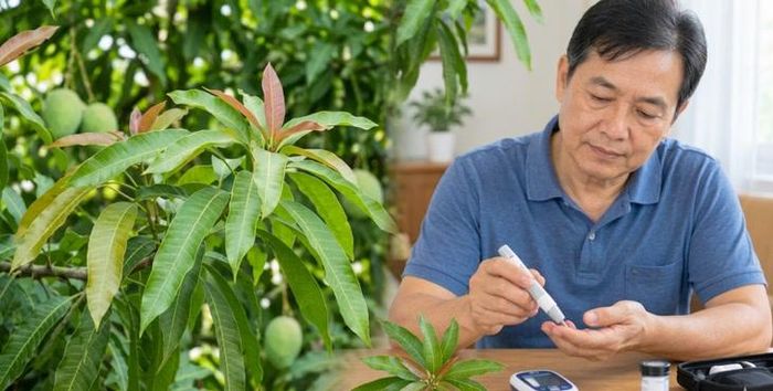 Lá xoài có tác dụng cải thiện đường huyết. Ảnh: AI.