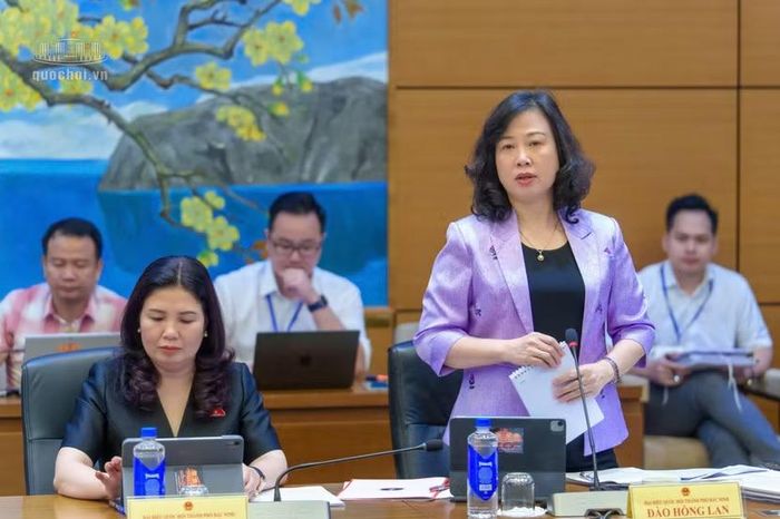 Bộ trưởng Bộ Y tế Đào Hồng Lan phát biểu thảo luận tổ