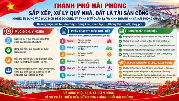 Theo phương án của thành phố, 273 điểm nhà, đất được phân thành 6 nhóm.