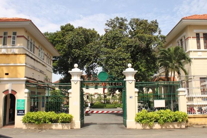  Viện Pasteur TP.HCM phối hợp với các bệnh viện và địa phương triển khai các biện pháp giám sát, phát hiện sớm, điều trị và dự phòng bệnh não mô cầu.