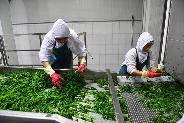  Trước đó, ngành ngân hàng đã liên tục tung các gói cho vay ưu đãi đối với doanh nghiệp thuộc lĩnh vực ưu tiên. Ảnh: Nam Khánh. 