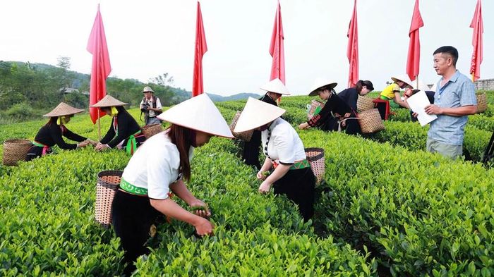 Một số hoạt động trải nghiệm tại chương trình
