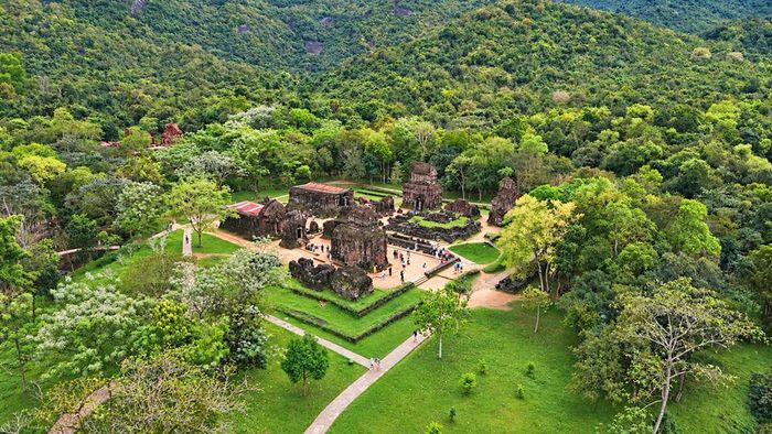 Thảm rừng trong thung lũng Mỹ Sơn góp phần duy trì cảnh quan và điều tiết các tác động tự nhiên đối với quần thể đền tháp