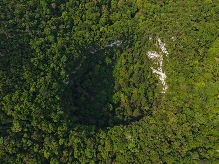 Hố sụt rộng hơn 2ha vừa được phát hiện. Ảnh: Jungle Boss