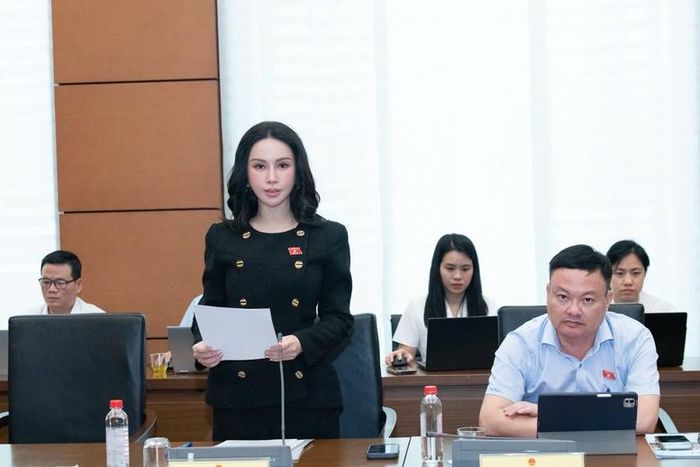 Đại biểu Lê Nữ Thuỳ Dương góp ý tại phiên thảo luận tổ sáng 24/10 - Ảnh: chinhphu.vn/Nhật Bắc
