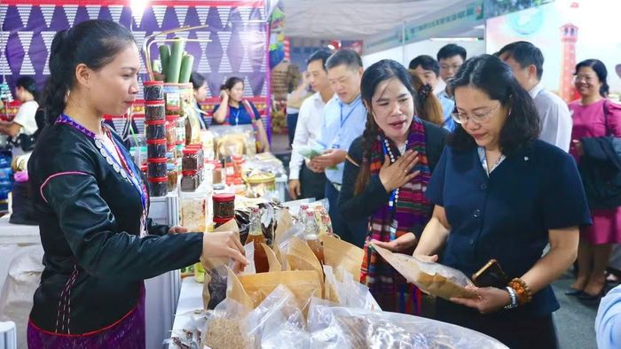 Các đại biểu tham quan gian hàng trưng bày tại Hội chợ. (Ảnh: TRỌNG ANH)