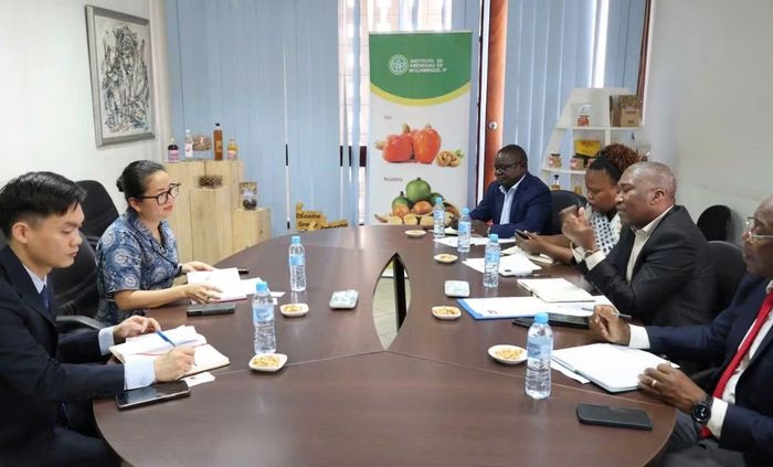 Quang cảnh buổi làm việc. (Ảnh: Đại sứ quán Việt Nam tại Mozambique cung cấp)