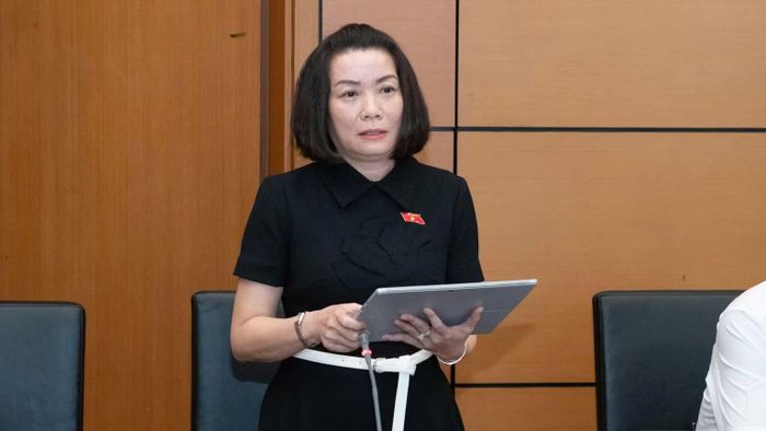 Phó Trưởng Đoàn chuyên trách Đoàn đại biểu Quốc hội tỉnh Quảng Trị Nguyễn Minh Tâm phát biểu tại tổ. (Ảnh: TL)