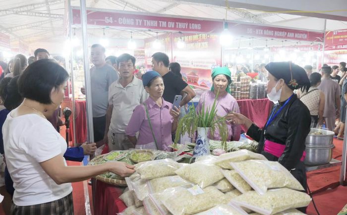 Hội chợ là dịp quảng bá các sản phẩm nông sản đặc trưng của tỉnh Tuyên Quang. (Ảnh: KHÁNH TOÀN)