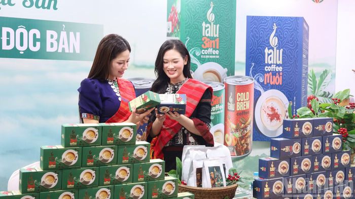 Các hoạt động theo dấu chân 100 năm cà-phê Khe Sanh góp phần quảng bá thương hiệu cà-phê đặc trưng của Quảng Trị. (Ảnh: HIẾU MINH)