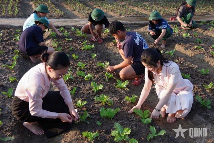 Qua tăng gia, sản xuất không những rèn luyện cho em các kỹ năng trồng trọt mà còn tăng thêm mối đoàn kết. 