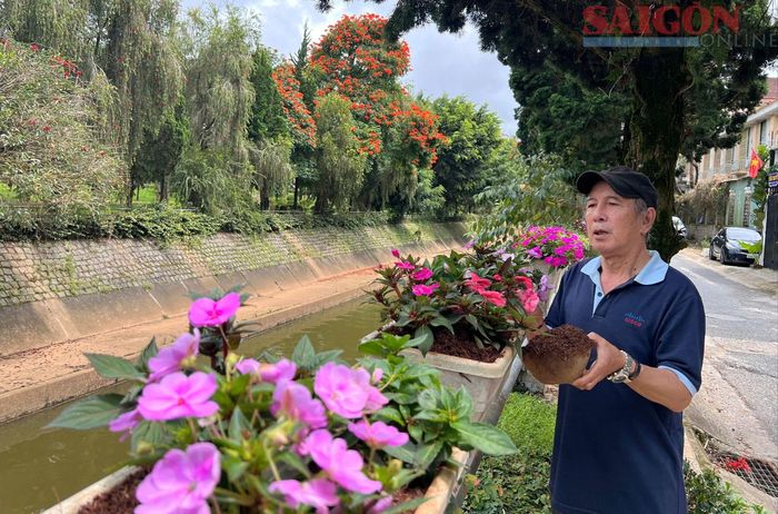  Người dân trên đường Phạm Ngũ Lão chăm sóc hoa dọc suối Cam Ly. Ảnh: ĐOÀN KIÊN 