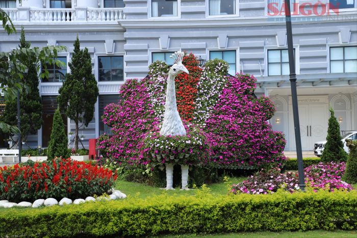  Hoa được trang trí trước khuôn viên khách sạn trên đường Hùng Vương, phường Xuân Hương - Đà Lạt. Ảnh: ĐOÀN KIÊN 