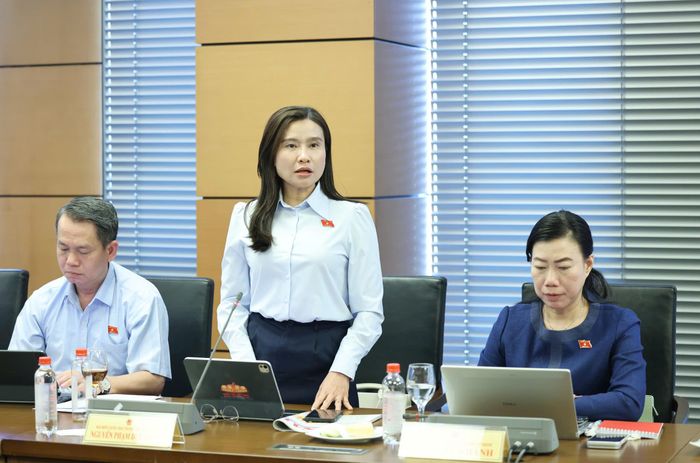  Đại biểu Nguyễn Phạm Duy Trang (TPHCM) phát biểu tại buổi thảo luận. Ảnh: QUANG PHÚC 