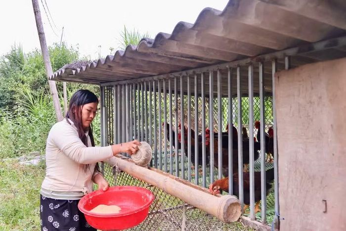 Gia đình anh Vàng A Sử có điều kiện phát triển kinh tế từ nguồn vốn sau xuất khẩu lao động.
