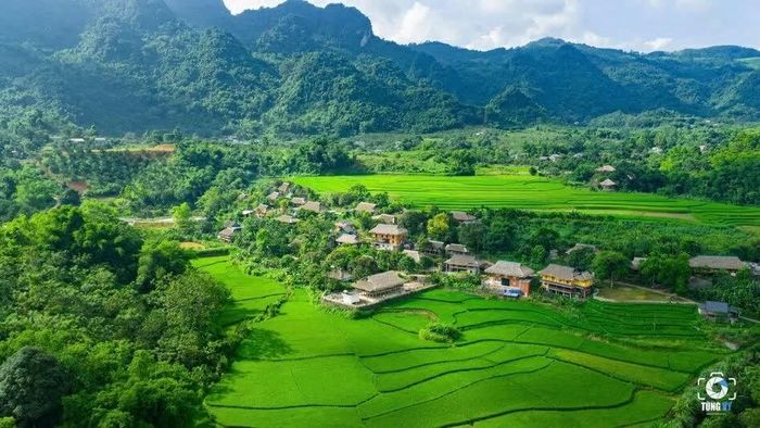 Toàn cảnh điểm du lịch cộng đồng xóm Mỗ, Thung Nai, Phú Thọ. (Ảnh: Tùng Vy)