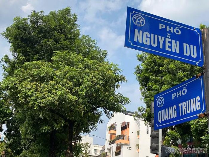 Phố Quang Trung, Nguyễn Du cùng loài hoa biểu tượng trong ca khúc “Nhớ về Hà Nội” của nhạc sĩ Hoàng Hiệp: “Nhớ phố Quang Trung, đường Nguyễn Du những đêm hoa sữa thơm nồng…”.