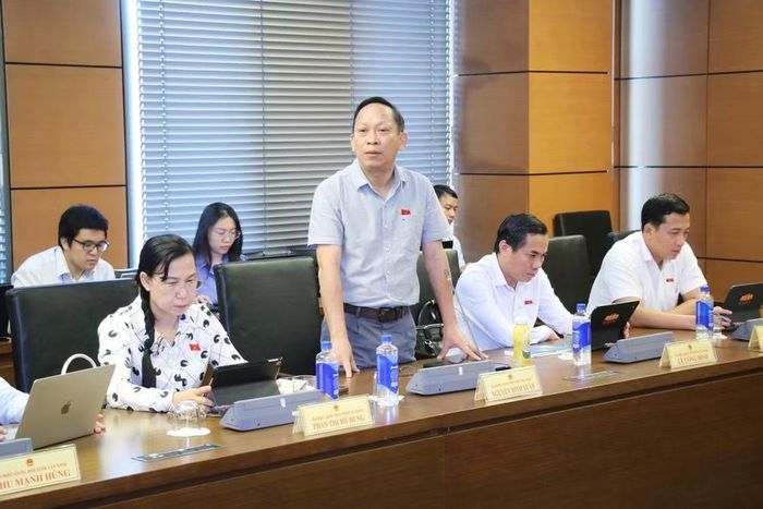 Đại biểu Nguyễn Đình Xuân phát biểu (ảnh QH).