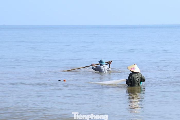 Một số người chọn cách kéo lưới đôi. Hai người cầm hai đầu lưới, rà dọc bờ rồi phối hợp kéo vào để gom ruốc. Khi đàn ruốc xuất hiện dày, phương pháp này giúp tăng sản lượng khai thác.