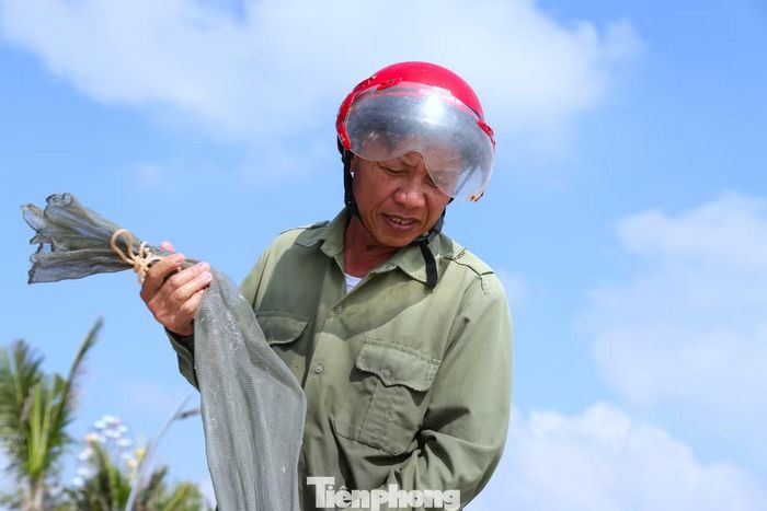 Ông Nguyễn Đình Bình (60 tuổi, trú tại phường Cửa Lò) cho biết, hằng ngày, ông cùng các con ra biển từ 5h sáng, đến khoảng 10h thì trở về. “Sáng nay, ba bố con kéo được hơn một tạ ruốc. Những hôm gặp luồng ruốc lớn, sản lượng có thể đạt 4-5 tạ. Ruốc tươi được thương lái thu mua ngay tại bãi với giá 20.000-30.000 đồng/kg. Nếu trúng đậm, gia đình có thể thu về vài triệu đồng sau một buổi sáng”, ông Bình chia sẻ.