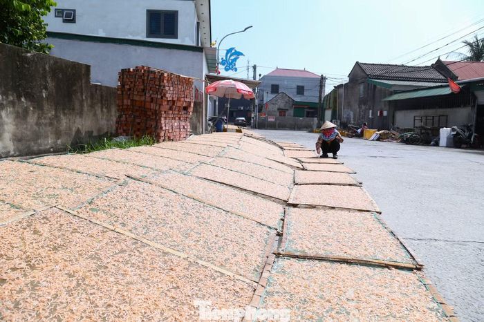 Theo người dân địa phương, ngoài bán ruốc tươi với giá khoảng 20.000-30.000 đồng/kg, nhiều gia đình còn giữ lại một phần để phơi khô, làm mắm hoặc chế biến món ăn. Ruốc khô hiện có giá khoảng 120.000-150.000 đồng/kg, giúp người dân đa dạng cách tiêu thụ sản phẩm.