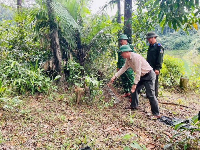 Toàn bộ số động vật nguy cấp, quý hiếm trên được đơn vị tiếp nhận thông qua việc tự nguyện bàn giao của người dân và sự phối hợp của các cơ quan chức năng trên địa bàn tỉnh Hà Tĩnh.
