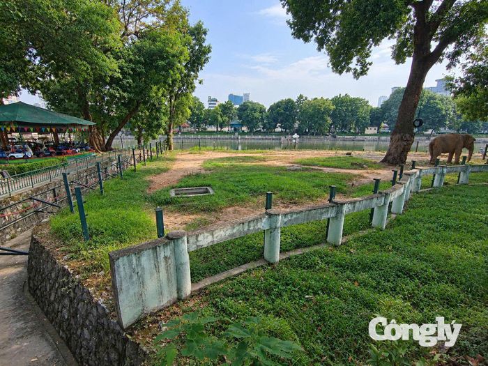 Đáng báo động hơn, đoạn tường ở lối đi cạnh khu nuôi voi đang bị nghiêng, lún nghiêm trọng. Khu vực này phải gia cố tạm bợ bằng hệ thống giàn sắt chống đỡ nhằm bảo đảm an toàn.