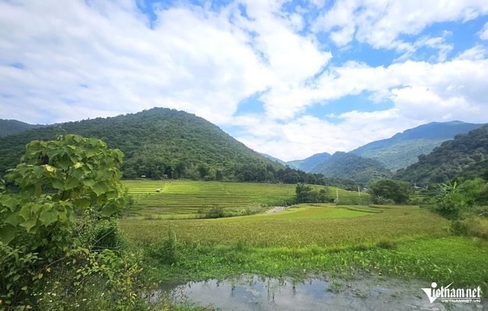 Từ những thửa ruộng bậc thang, Linh đang hướng đến sẽ phát triển du lịch cộng đồng ở địa phương. Ảnh: Lê Dương