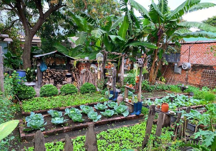 Rau trái trong vườn xanh mướt quanh năm 
